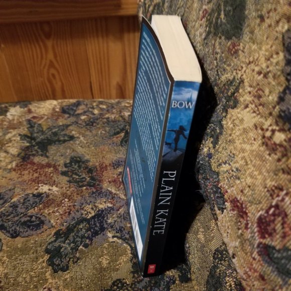 YA novel Plain Kate by Erin Bow, a magical fantasy novel, Scholastic Canada - Picture 3 of 3